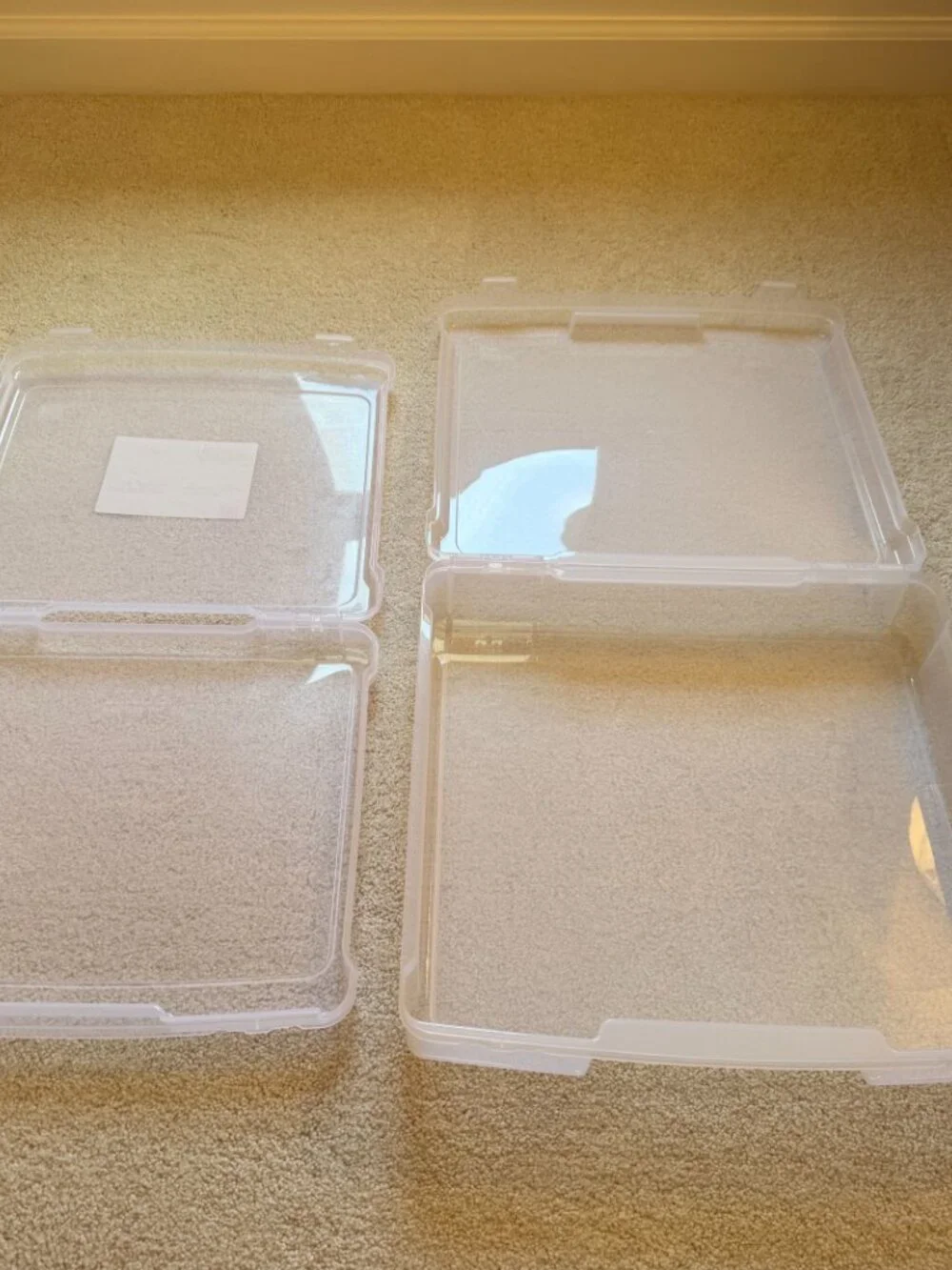 Set of 2 Container Store Iris Clear Document Cases